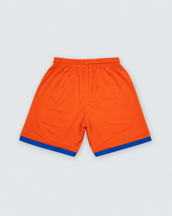 Goku DBZ Shorts