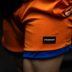 Goku DBZ Shorts